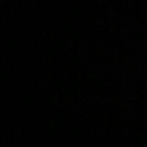 Meet your Posher, Trevor